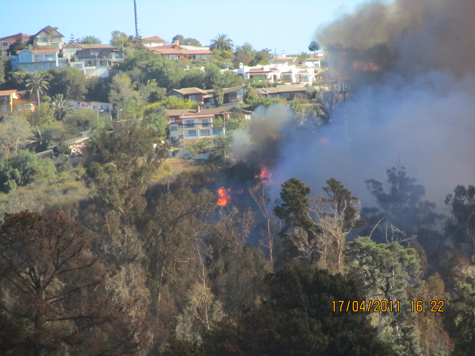 Incendio en Quinta Vergara | José Miguel Herrera