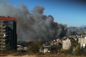 Siniestro en Viña del Mar | Viviana Toro