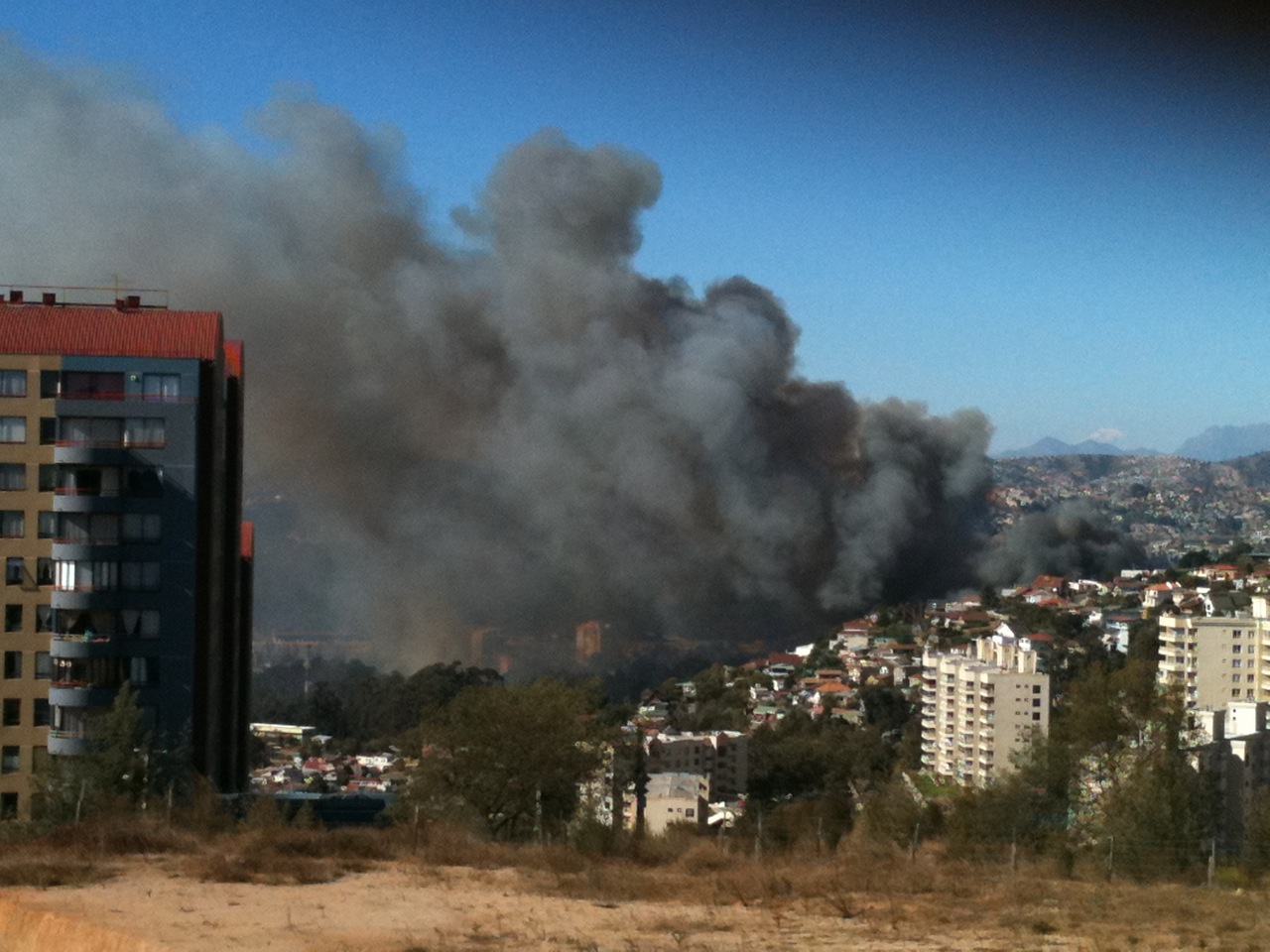 Siniestro en Viña del Mar | Viviana Toro