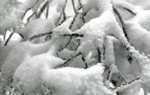 Miguel Ugalde en Stock.xchng