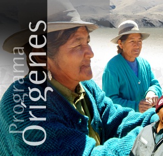 Programa Orígenes