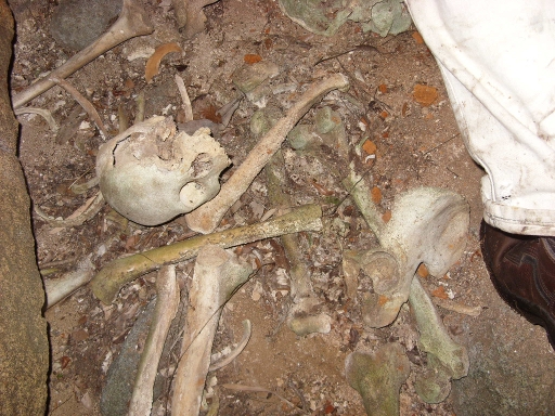 Osamentas encontradas | Rodrigo Triviño