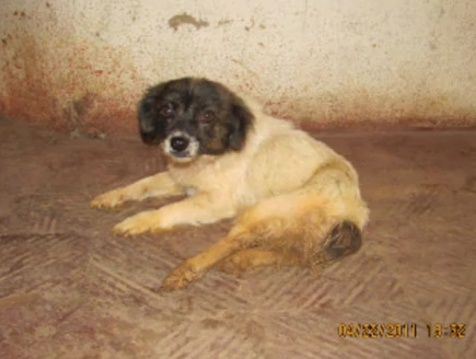 Lunita | Daniela Rojas