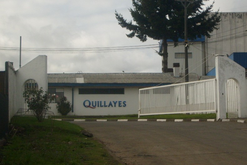 Empresa Quillayes | Foto: Luis Vergara