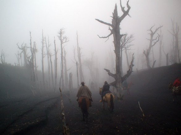 Pie de volcán Casablanca | kawellexpediciones.cl