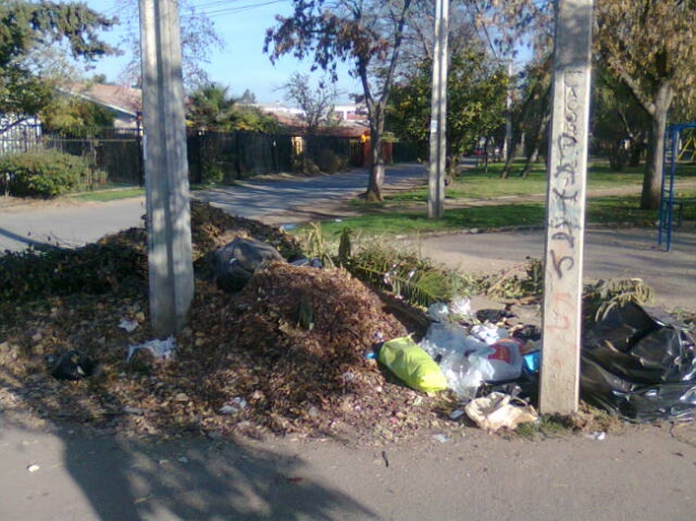 Denuncian microbasural en Villa Frei de Ñuñoa | Notas | BioBioChile