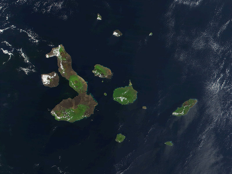Islas Galápagos | Wikimedia Commons (CC)
