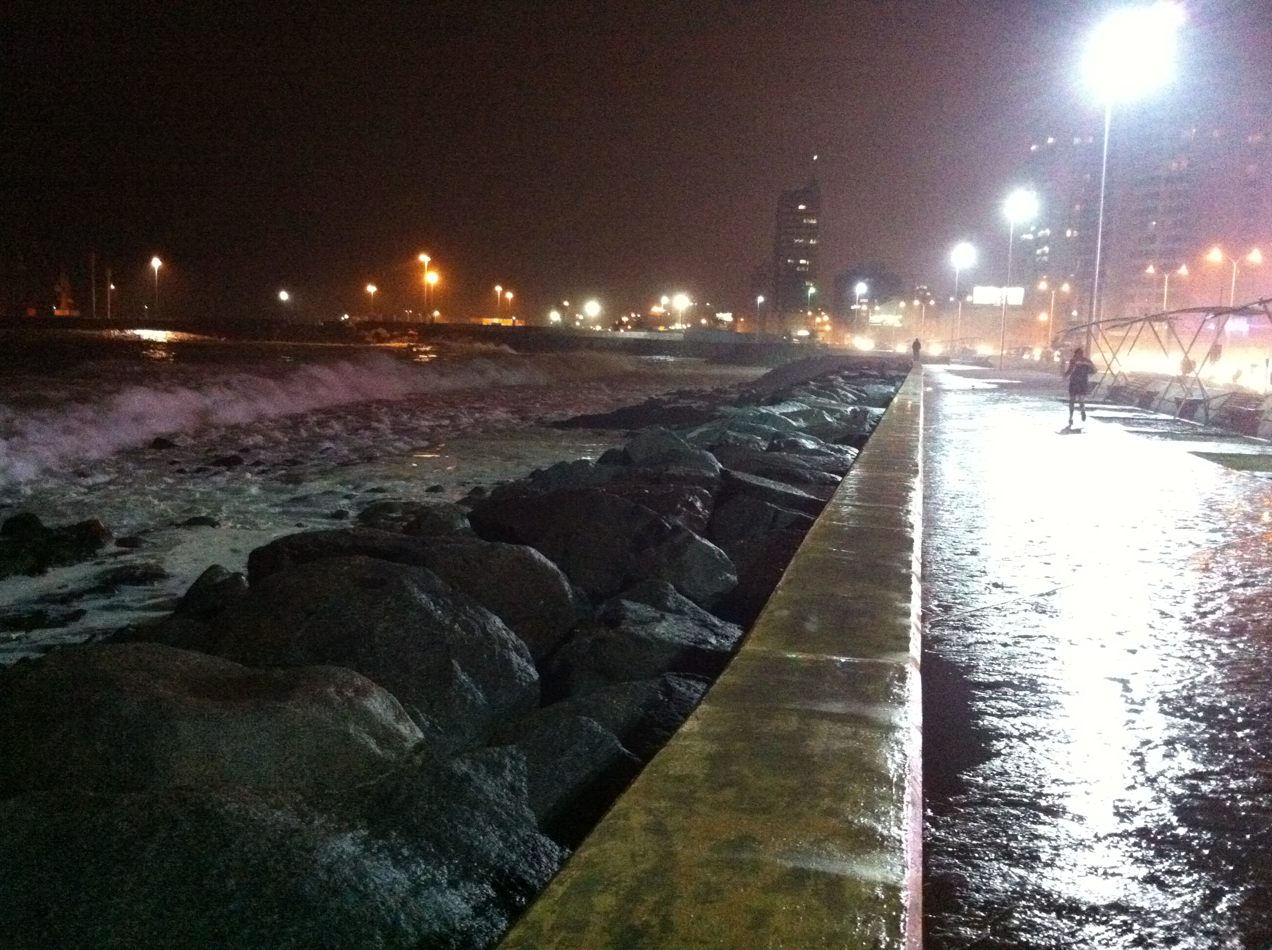 Patricia Palma (RBB)