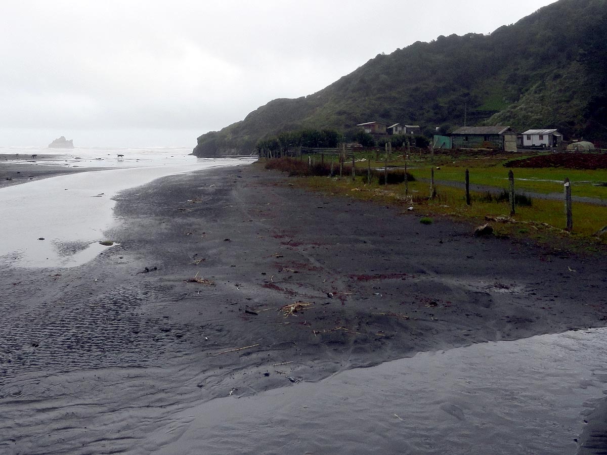 Puerto Saavedra | Luis Vergara