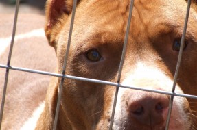 Archivo | Igor Spanholi (SXC)