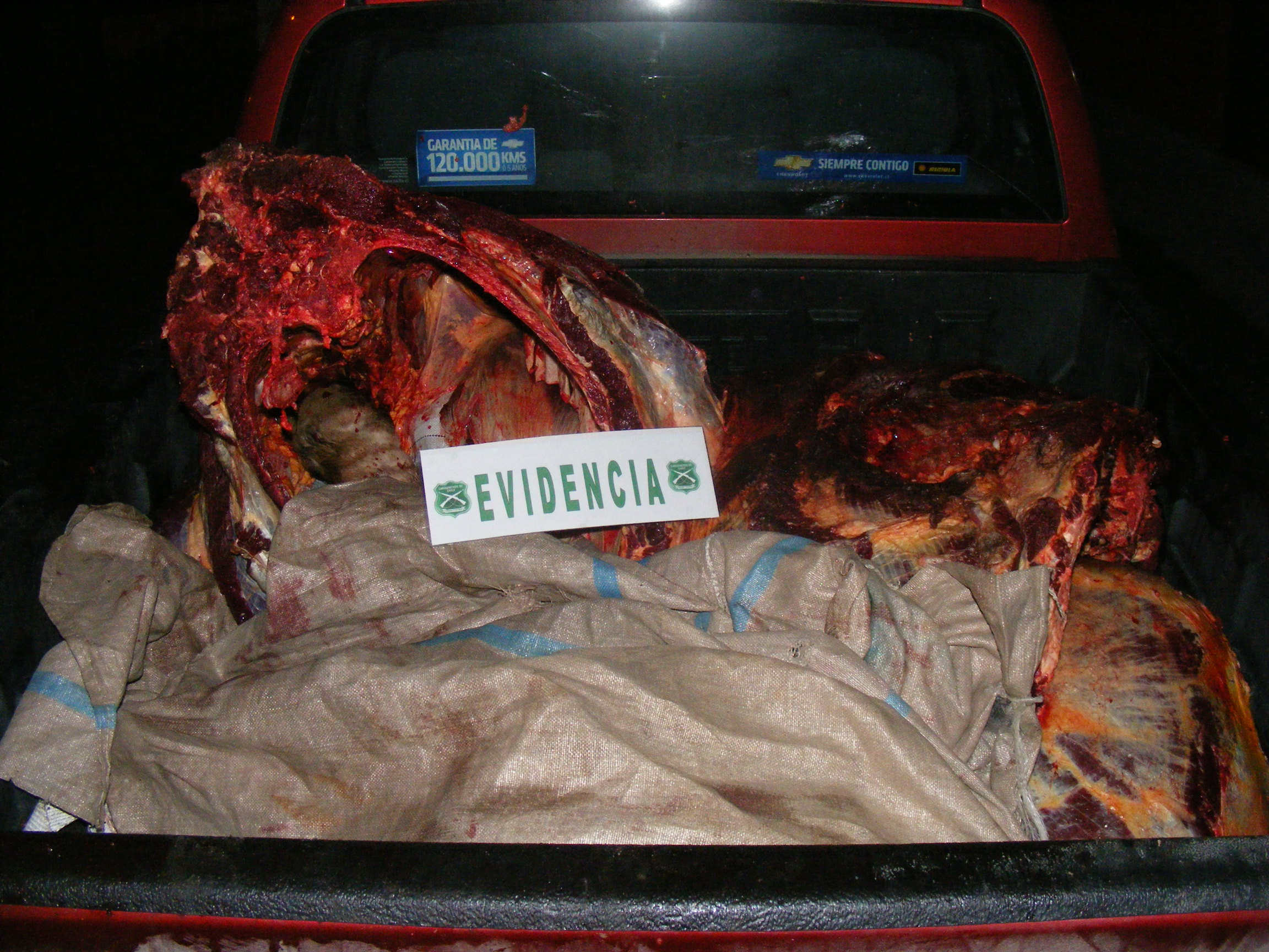 Fabiola Ancapichún (RBB)