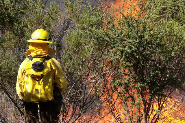 Archivo | Рафаэль en Flickr