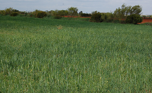 Usuario Flickr Ecopapel