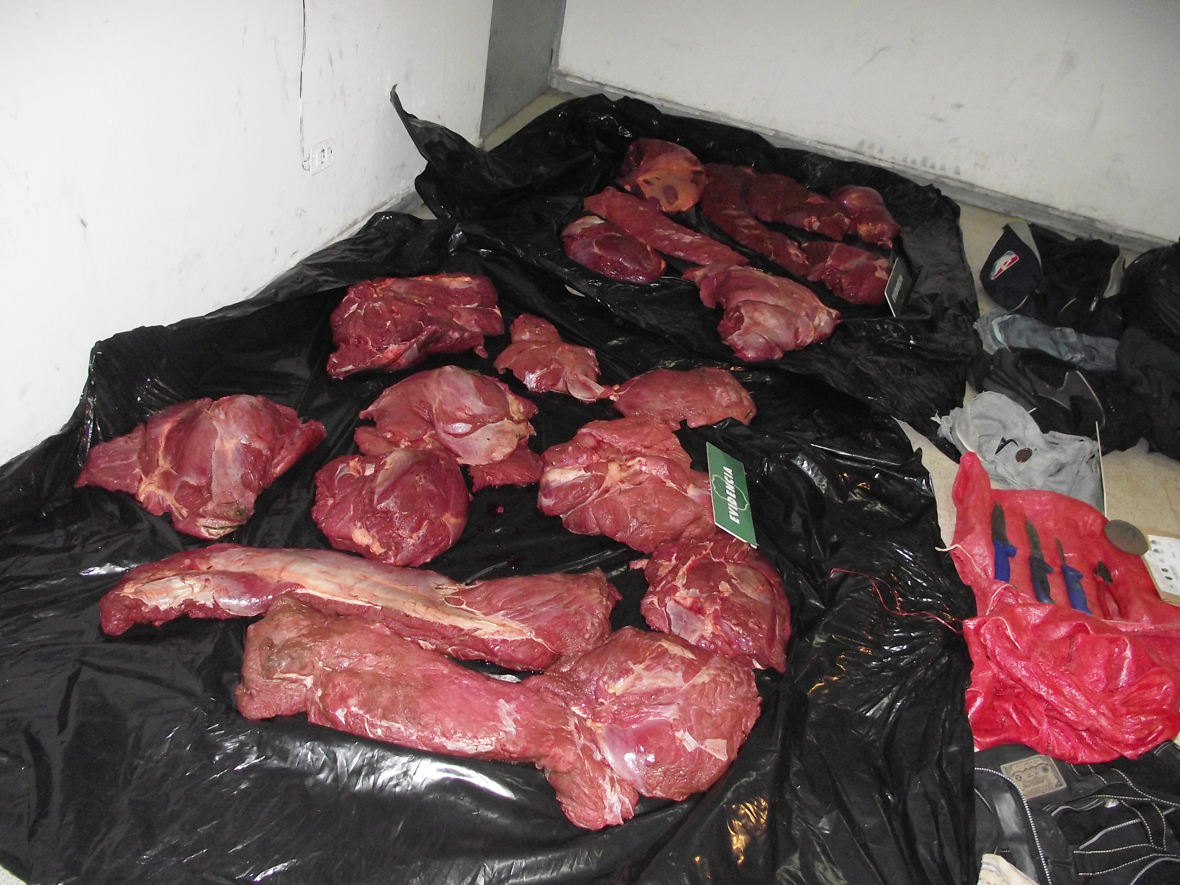 Carne decomisada | Comunicado de Prensa