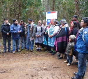 Sitio Lanalhue Noticias.cl