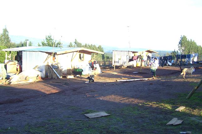 Tribuna del Bío-Bío