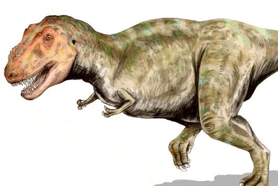 Tiranosaurio | Wikimedia