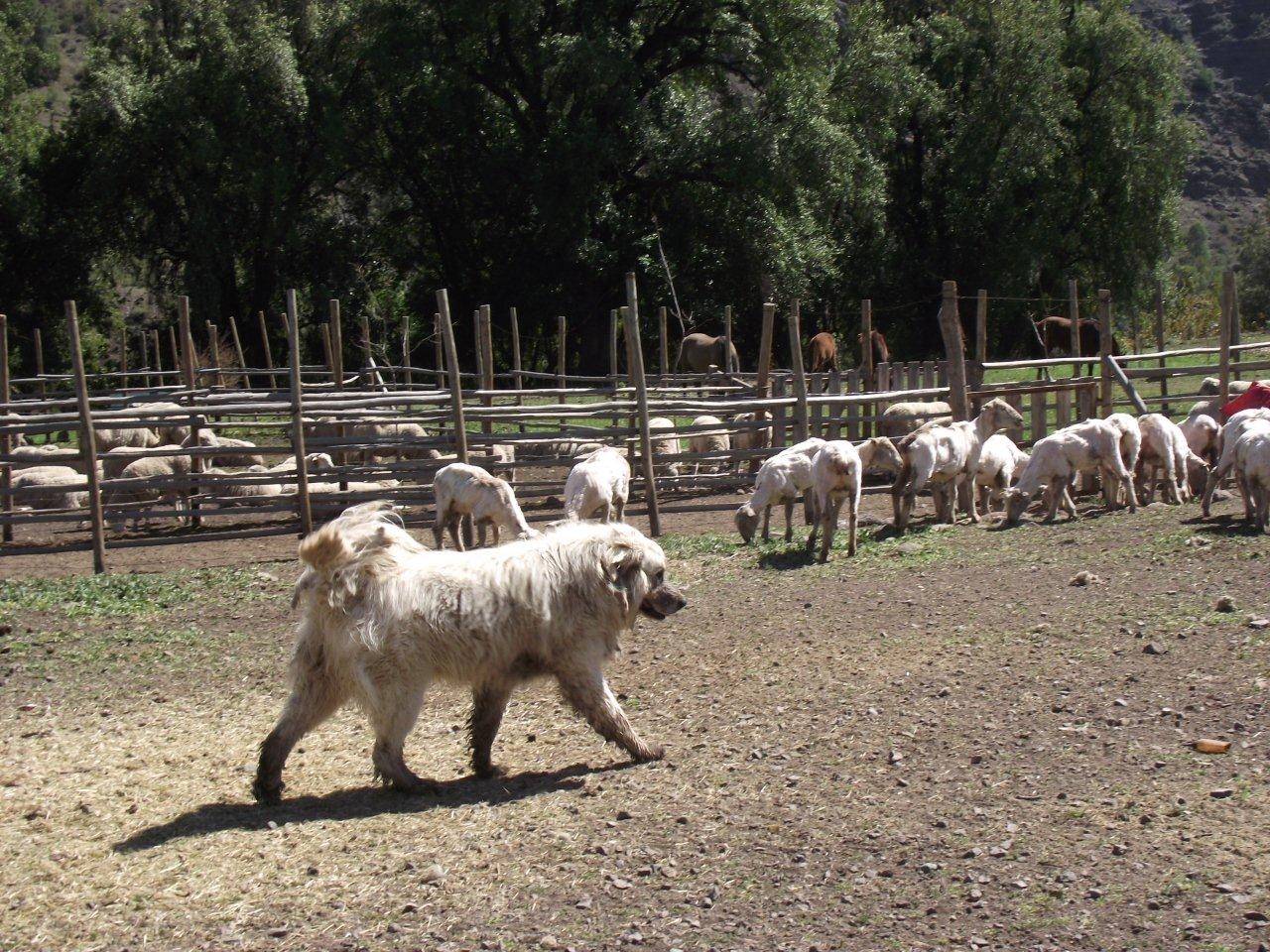 Ministerio de Agricultura