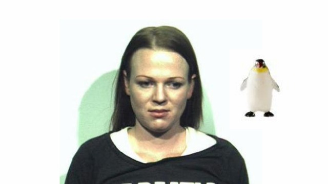 Mujer robó con tierno pingüino | Gawker.com