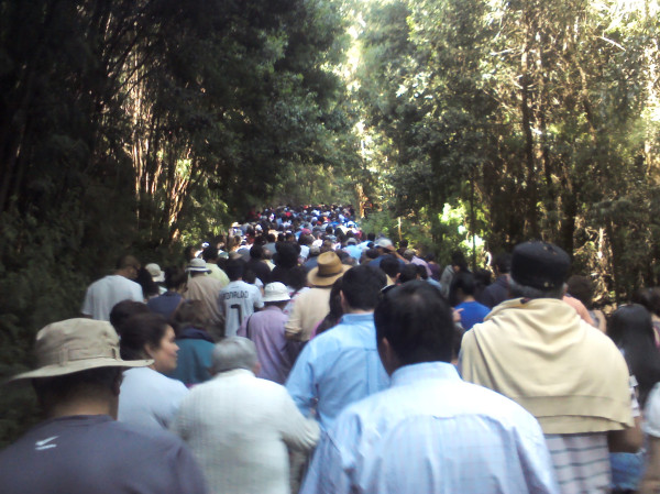 Fabiola Tapia U. en Twitter