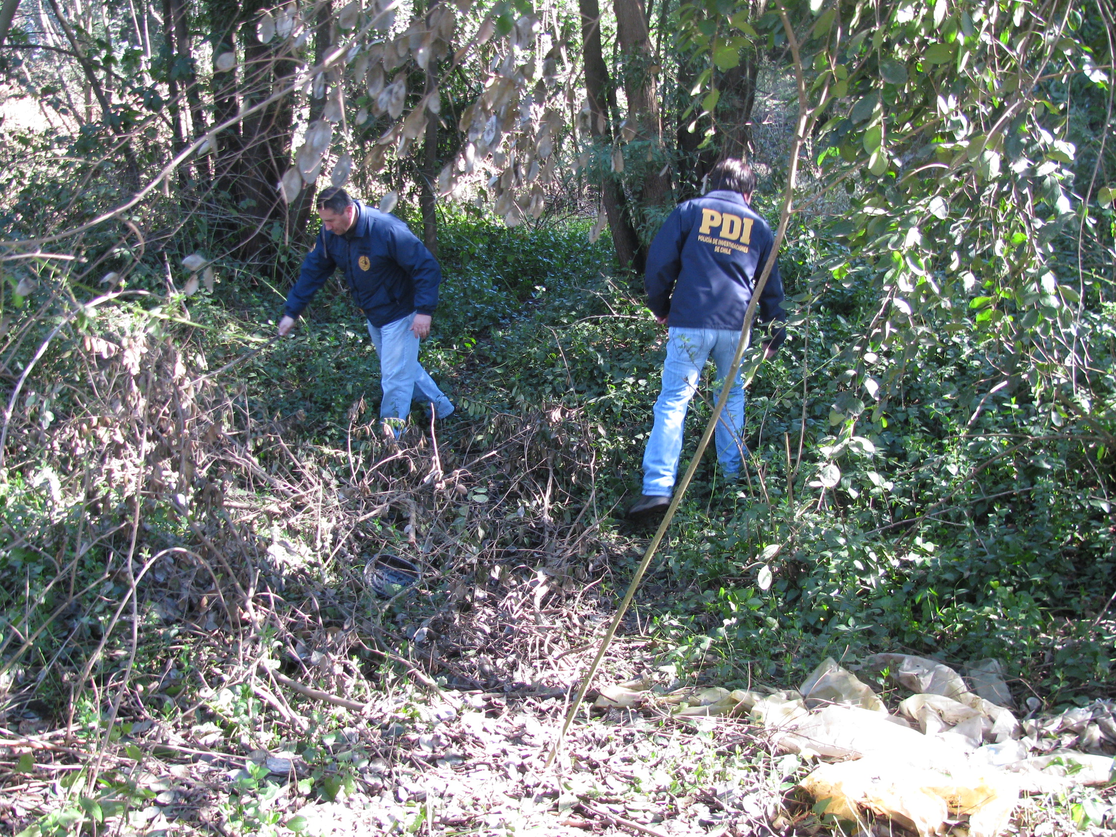 PDI | Carlos Martínez (RBB)