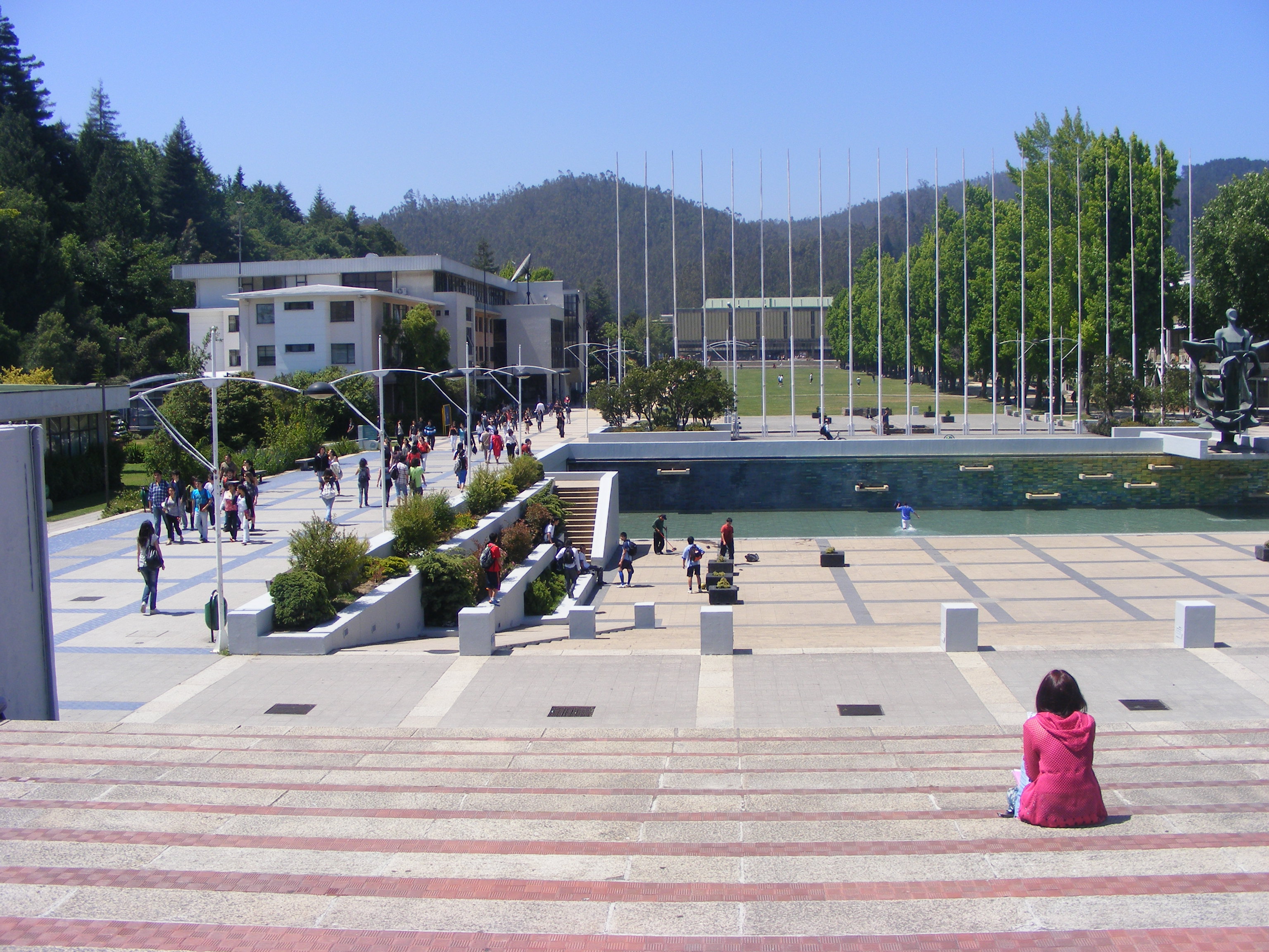 Universidad de Concepción | Carolina Mardones