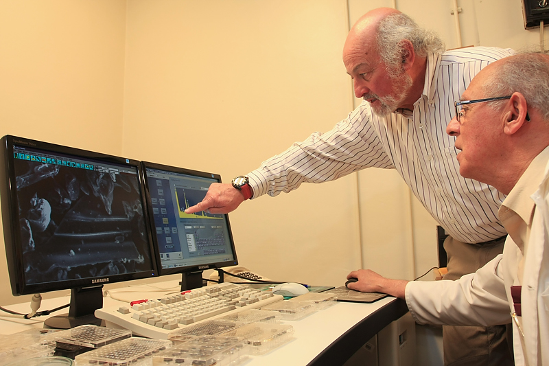 Alejandro Sotomayor | UACh