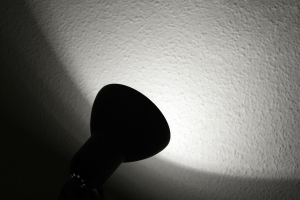 Graham Briggs en SXC.hu