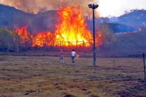 de contexto | Elisabeth D’Orcy en Flickr