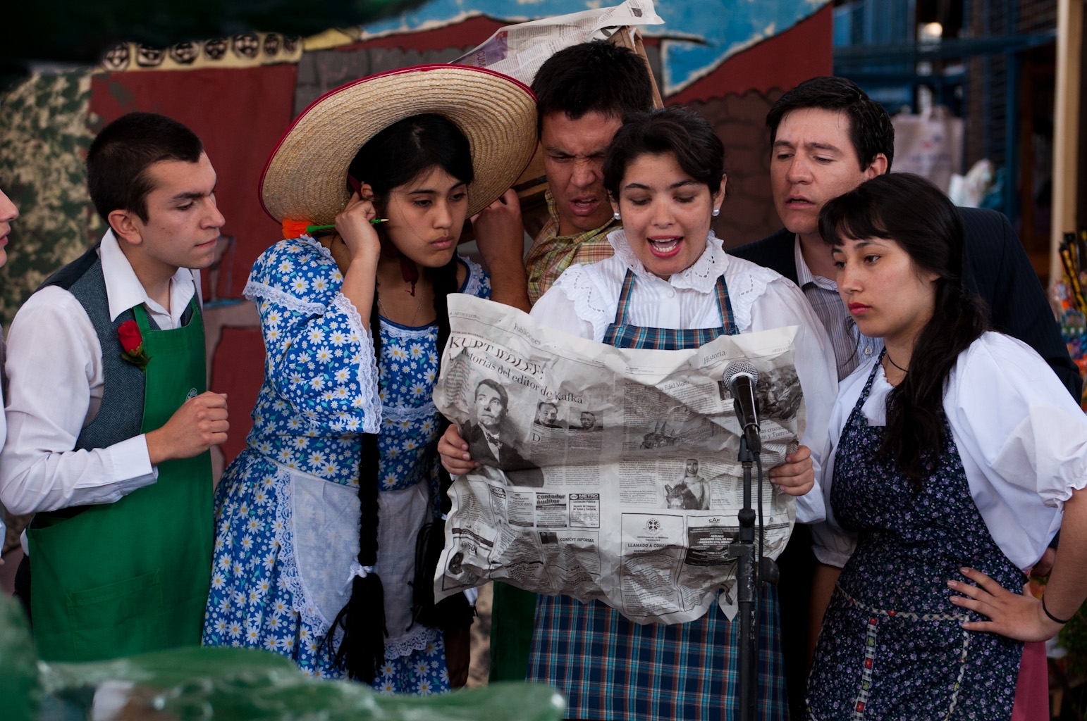 Consejo de la Cultura de del Maule