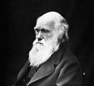 Charles Darwin | Wikimedia Commons