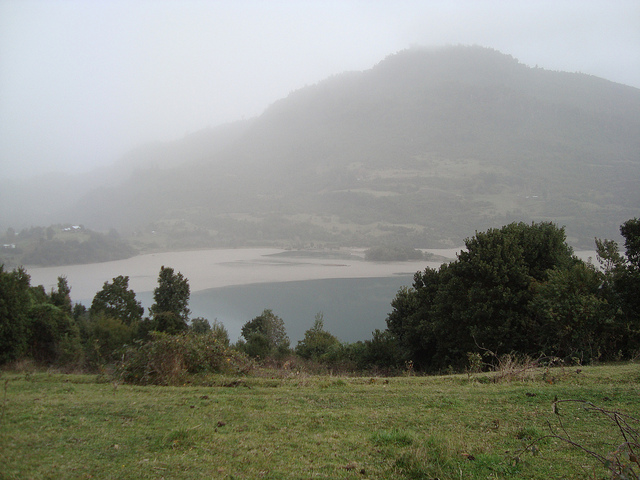 Cenizas Caulle | Katherine Maldonado (RBB)