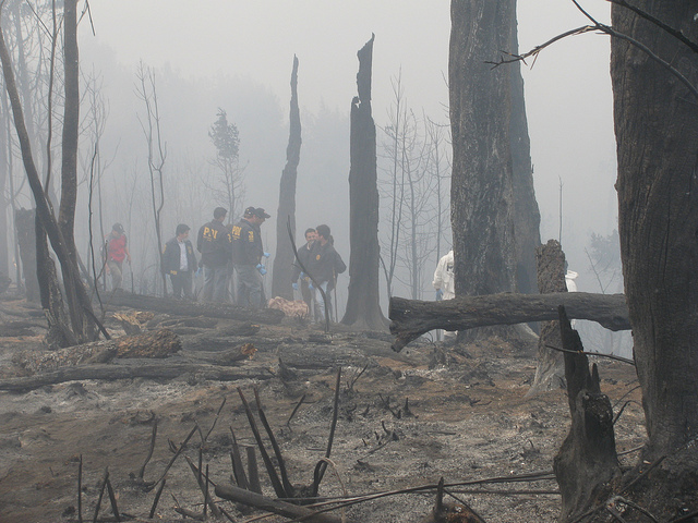 Carahue | Archivo PDI