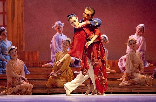 Comunicado de Prensa