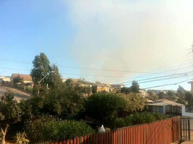 Paulo Lizama | @Paulo_twin