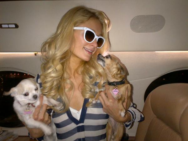 Paris Hilton Oficial