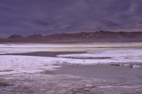 Archivo | CURZU en Flickr