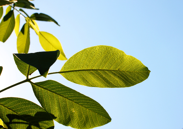 Florin Garoi en sxc.hu