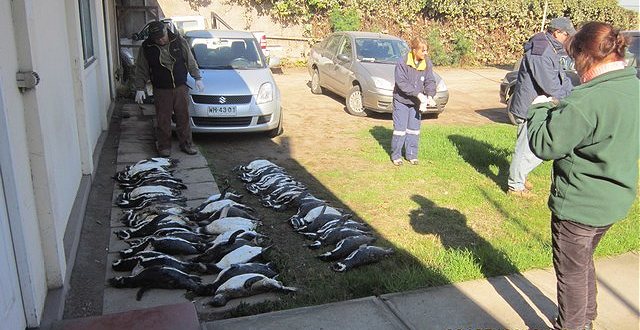 Sernapesca