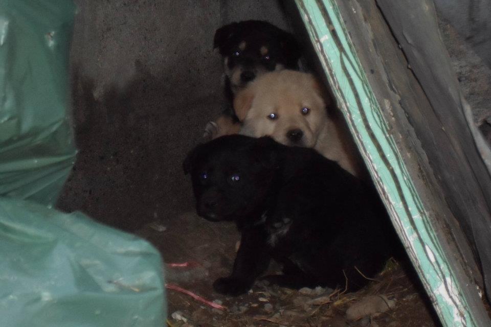 Mariela Contreras | Facebook