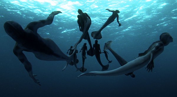 Ilustración reportaje Animal Planet