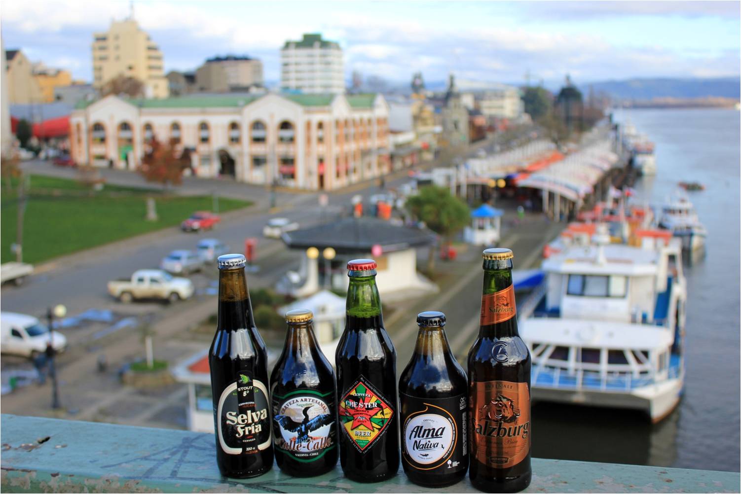 Fiesta de la Cerveza Negra