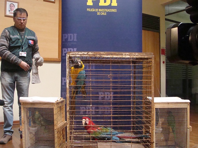 Comunicaciones PDI Antofagasta