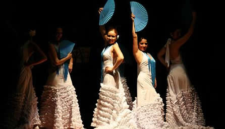 Ilustre Municipalidad de Viña del Mar