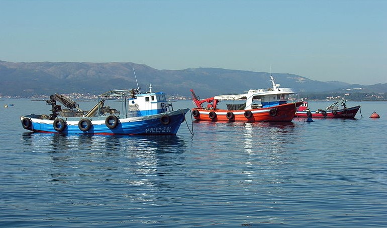 Pesca | Miguel Bugallo (cc)