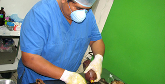 Municipalidad de Quilpué