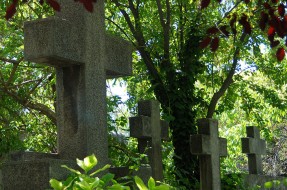 De contexto – Wikimedia Commons