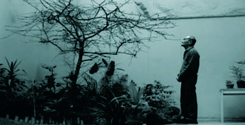 Ciclo de cine peruano