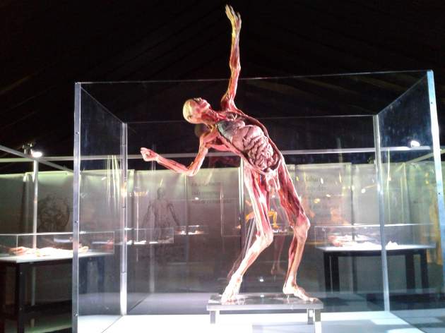 Valeska Belmar (RBB)