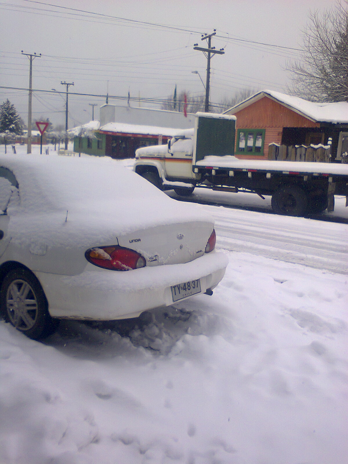 Nevada Lonquimay | Edgardo